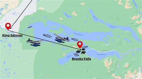 Your guide to visiting Brooks Falls in Katmai National Park - Bear ...