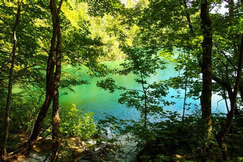 "Turquoise Lake" Images – Browse 7,088 Stock Photos, Vectors, and Video | Adobe Stock