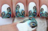 50 Peacock Nail Art Design Ideas