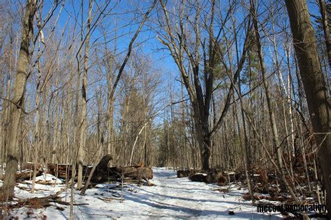 ON = Ontario Terra Cotta Conservation Area - Feb 19/17 - ClubTread ...