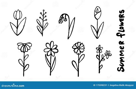 Set of Simple Summer Flowers Drawings. Abstract Flower Illustration. Hand Drawn Vector Art Stock ...