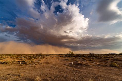 Living in Phoenix: A Dust Storm Survival Guide | Heers Management