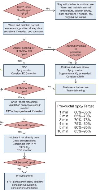 NALS – Neonatal Resuscitation Algorithm (NALS) | MedTx