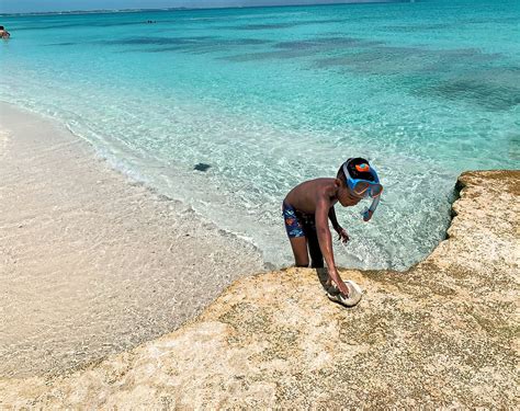 Discover the Best Snorkeling Spots in Turks and Caicos (Providenciales)