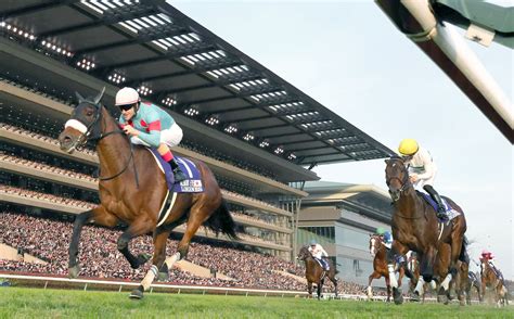 Japan Cup provides annual celebration of horse racing - The Japan Times