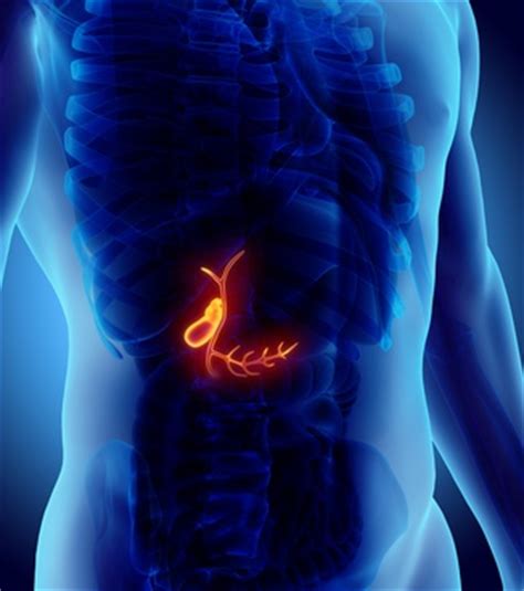 Yellow Bowel Movement and Causes of Yellow Diarrhea | Healthhype.com