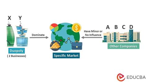 What is Duopoly? Types, Examples, Characteristics, Pros & Cons