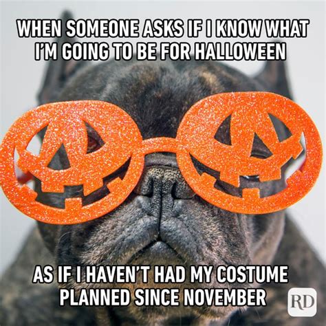 50 halloween memes that will have you howling with laughter – Artofit