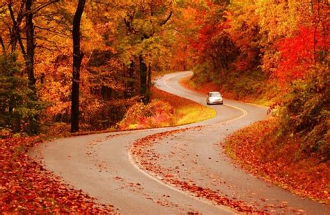 America's best fall color drives