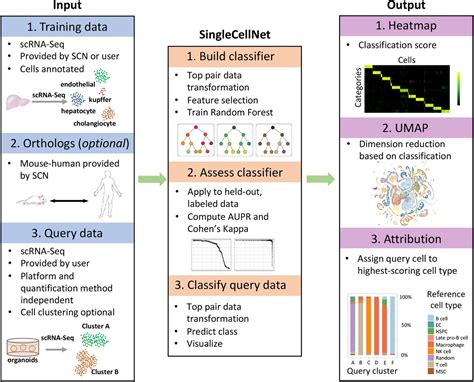 SingleCellNet – a computational tool to classify single cell RNA-Seq data across platforms and ...