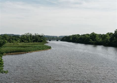 After 10 years of flunking, Anacostia River passes annual health-check with D rating - The ...