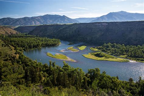 Riparian Ecosystem Guide | Land Trust Bird Conservation Initiative