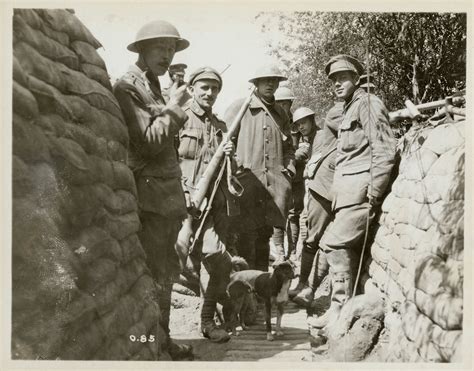 Life at the Front Photographs - Reserve Trenches | Canada and the First ...