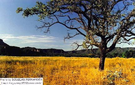 Serra Geral de Goiás (Taguatinga, Tocantins, Brasil). | Flickr - Photo Sharing!