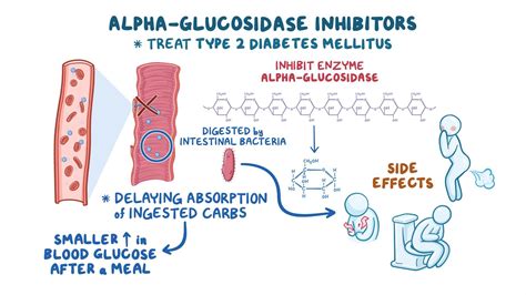 Oral antidiabetic medications - Alpha-glucosidase inhibitors: Nursing pharmacology - Osmosis ...