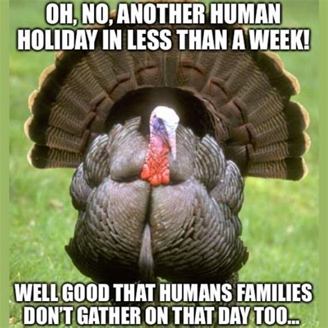 110+ Hilarious Funny Thanksgiving Memes 2023