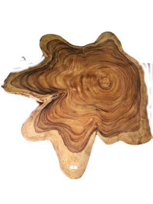 Wholesale Unique Saur Wood Coffee Table, generous 95cm across 100% unique designed by nature ...
