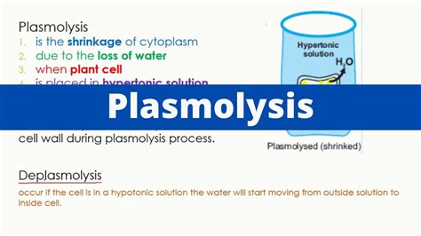 Plasmolysis | Deplasmoysis | Biology - YouTube