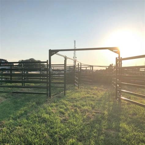 5 simple steps to designing beef cattle corrals | AGDAILY