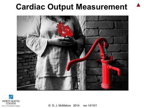 Cardiac Output Measurement