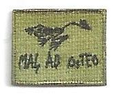 1:6 scale US Navy SEAL Bad to the Bone Frog Patch | ONE SIXTH SCALE KING!