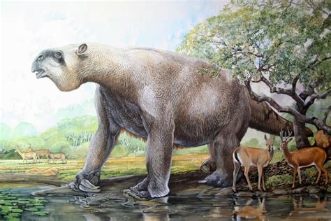 Prehistoric Giant Ground Sloth (Megatherium americium) with Pampas Deer ...