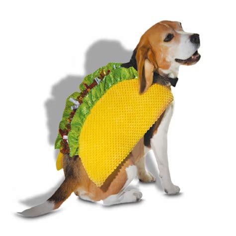 Petco's Bootique Pet Halloween Costumes Shop Is Now Open - PureWow