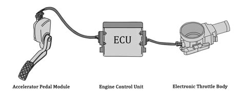 stock throttle response system