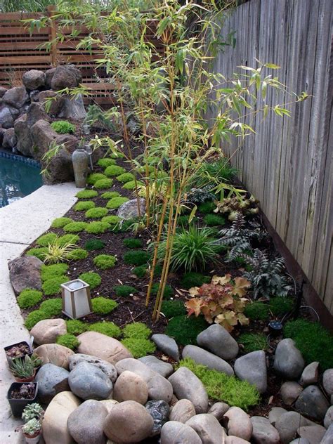 Bamboo Geek | Backyard garden layout, Zen garden design, Garden layout