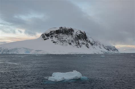 Near Palmer : r/antarctica