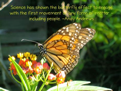 The Butterfly Effect Takes Wing | The Corner On Character