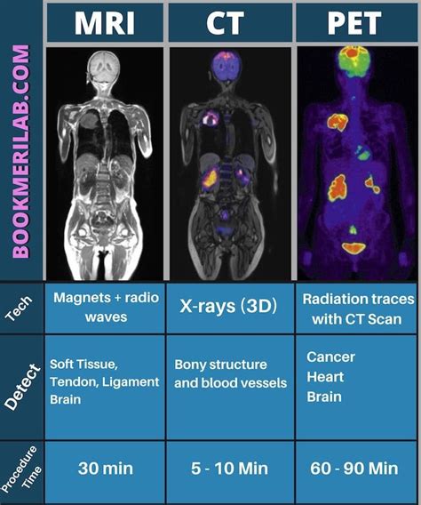 What Does A Ct Scan Show For Dogs