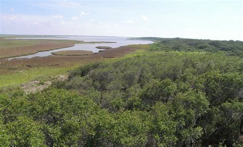 Aransas National Wildlife Refuge | Natural Atlas