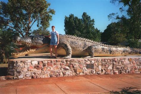 Krys - the salt water croc was shot in 1957 on the banks of the Norman River Normanton by a lady ...