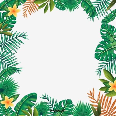 Hand Drawn Style Tropical Leaves Border, Hand Drawn Style, Tropical ...