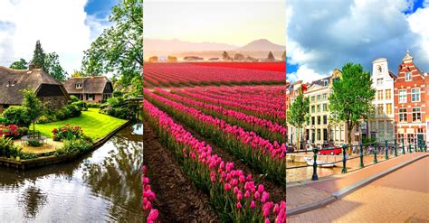 The Netherlands Travel Guide | Things to see, Costs, Tips & Tricks - Daily Travel Pill