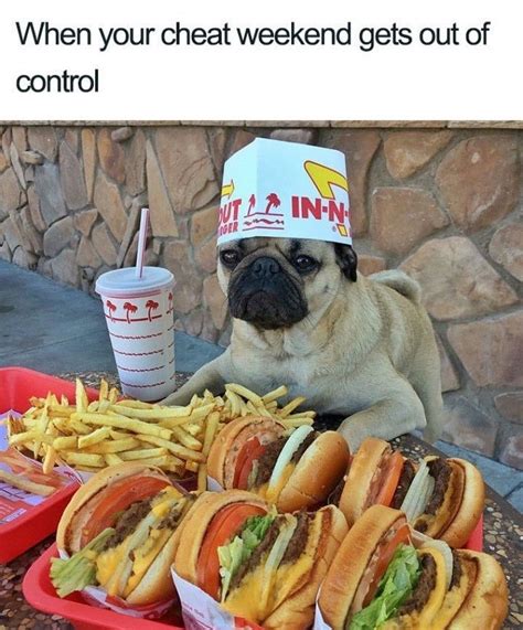 Chef doggo - Meme by Poopy_pants_45 :) Memedroid