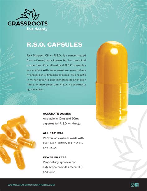 Rso Oil Recipe | Dandk Organizer