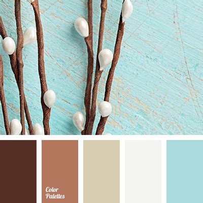 sand and brown | Color Palette Ideas