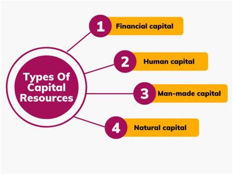 Capital Resources Definition - Meaning, Types And Aids In Production