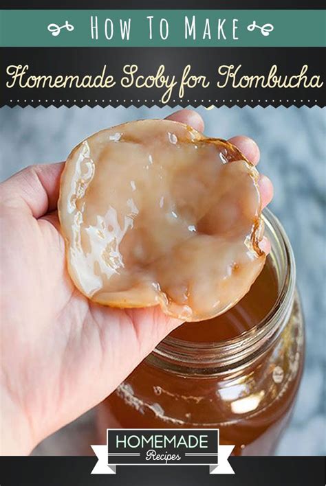 How To Make Scoby For Kombucha Tea At Home | Homemade Recipes | Kombucha scoby, Kombucha recipe ...