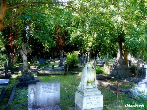 Highgate Cemetery | Highgate cemetery, Cemeteries, The magnificent seven