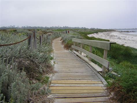 Asilomar California State Parks on the Beach - Guide to Asilomar State Beach Park