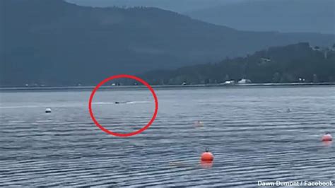 Watch: Lake Monster Filmed in Canada? | Coast to Coast AM