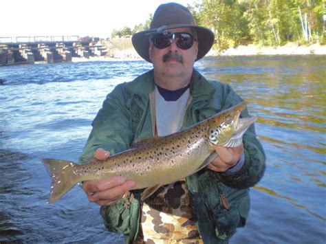 Fishing Grand Lake Stream, Maine - Canalside Cabins