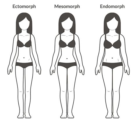 Tipos de cuerpo femenino ectomorfo mesomorfo y endomorfo | Vector Premium