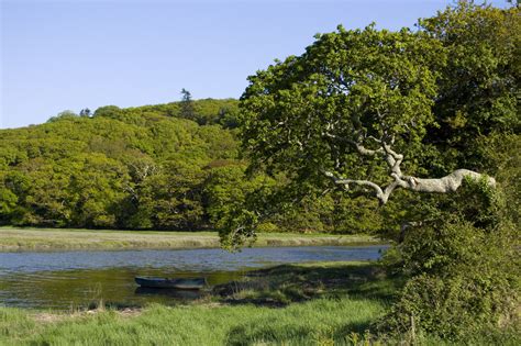 Boat on the Tamar River - Tabitha Beresford-Webb