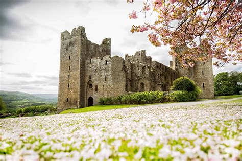 Bolton Castle in Wensleydale, family days out, falconry and weddings