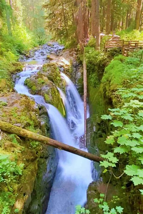 Sol Duc Falls Trail, Olympic National Park: Complete Guide