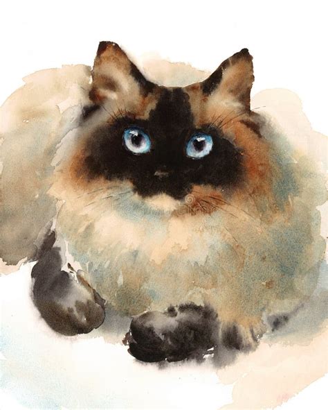 Siamese Cat Watercolor Animals Pets Illustration Hand Painted Stock Illustration - Image: 63486210